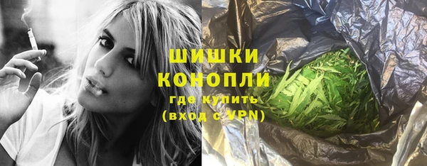 ГАЛЛЮЦИНОГЕННЫЕ ГРИБЫ Алексин