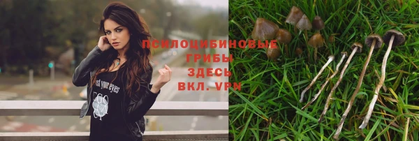 ГАЛЛЮЦИНОГЕННЫЕ ГРИБЫ Алексин